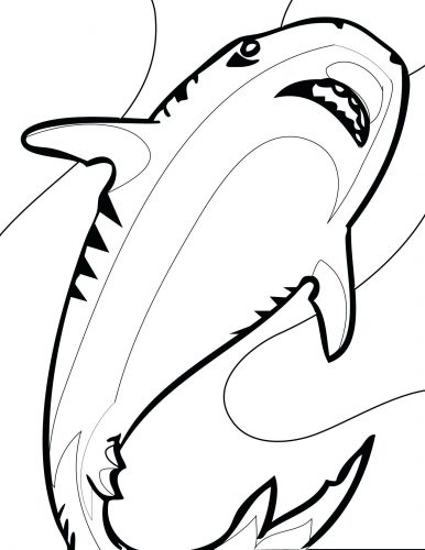 386x500 Coloring Pages ~ Shark Coloring Pages Baby Hammerhead Free Shark