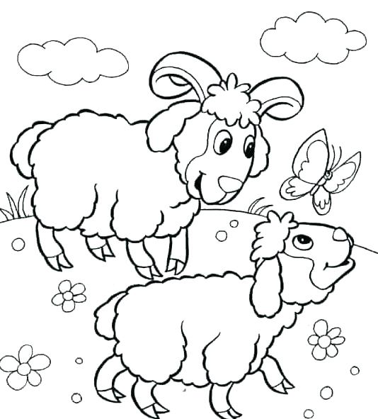 534x591 Coloring Page Of Sheep Coloring Page Of Sheep Farm Animals