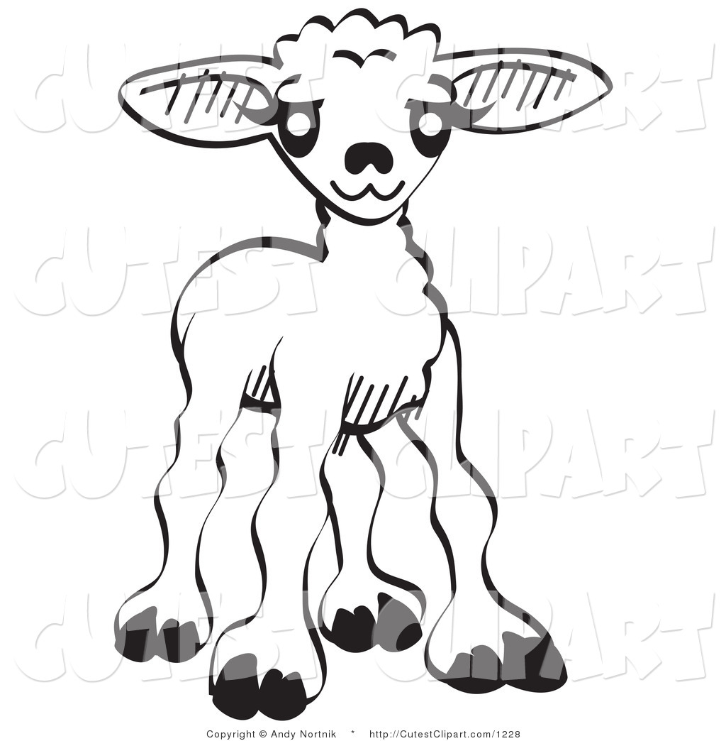 1024x1044 Baby Sheep Coloring Pages