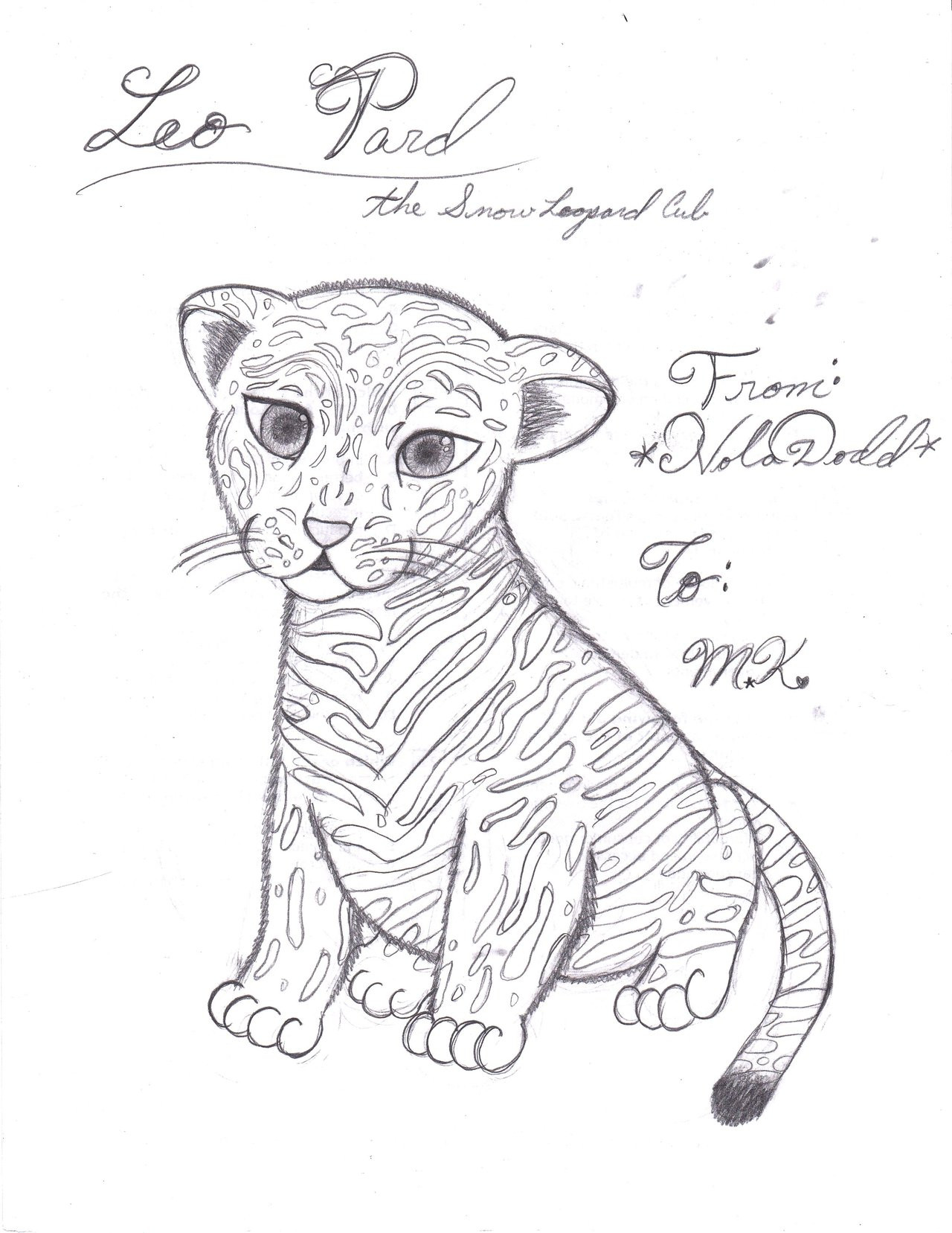 1280x1657 Baby Snow Leopard Drawing 19 15 Coloring Pages