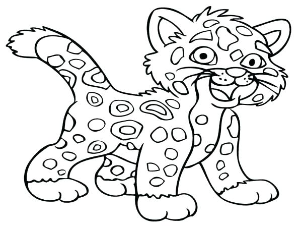 600x450 Snow Leopard Coloring Pages Cheetah Coloring Pictures Little Baby