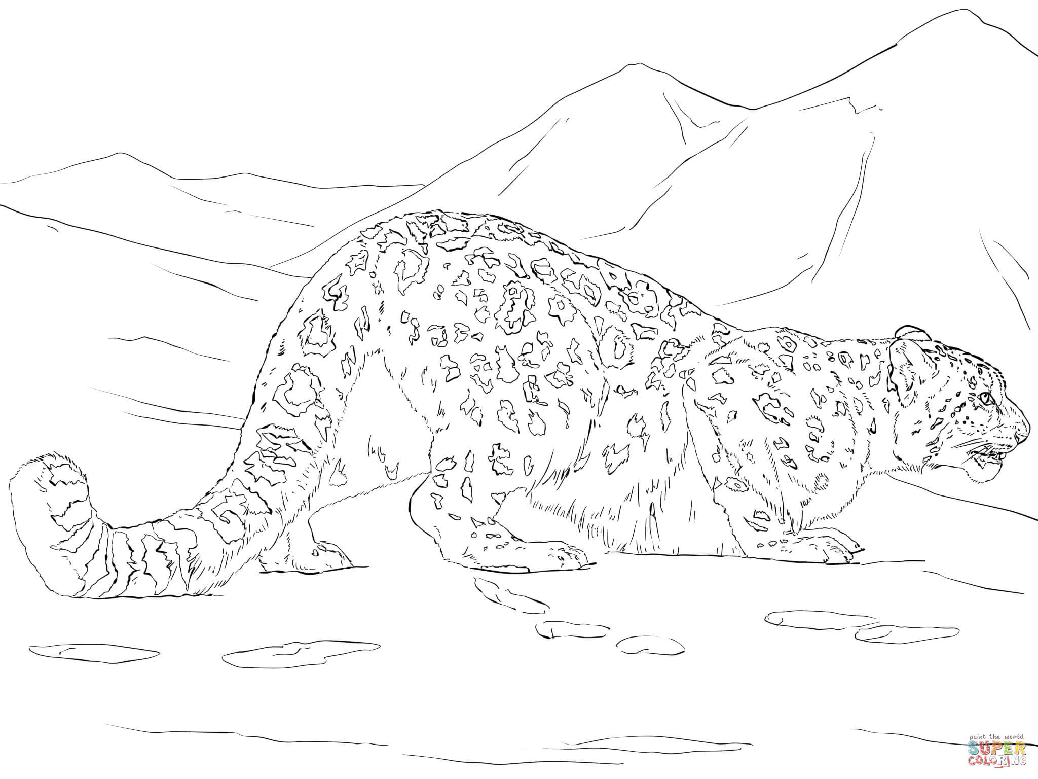 2048x1536 Attractive Snow Leopard Coloring Pages Newyork Rp Com