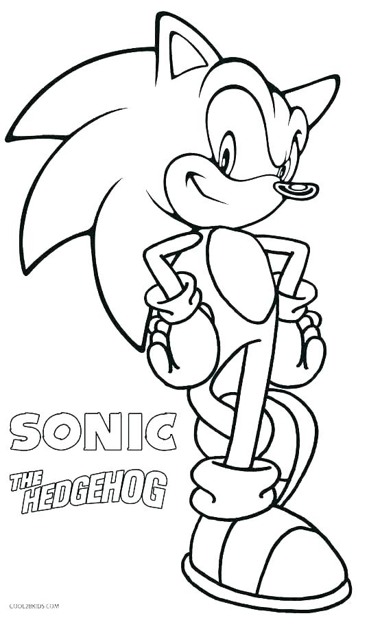 538x900 Hedgehog Coloring Pages Printable Autoinsuranceny.club