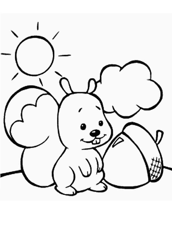 600x800 Cute Baby Squirrel And Oak Nut Coloring Page