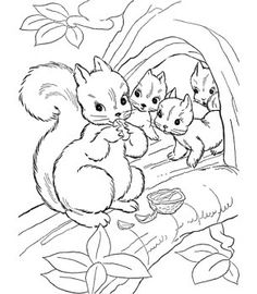236x270 Look! The Mommy Is Feeding Her Babies Squirrels With Nuts. What