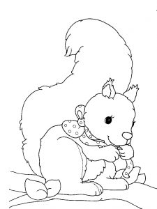 225x300 Phenomenal Coloringages Squirrelage Withrintable Of For Kids Free