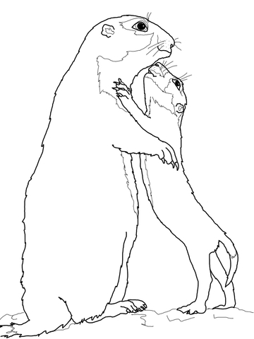 360x480 Prairie Dog Mother With Baby Coloring Page