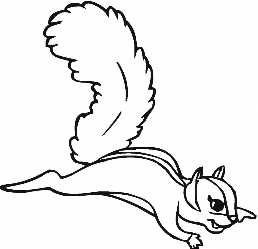 869x839 Squirrel Coloring Pages Image Inspirations Scaredy Baby Nutkin