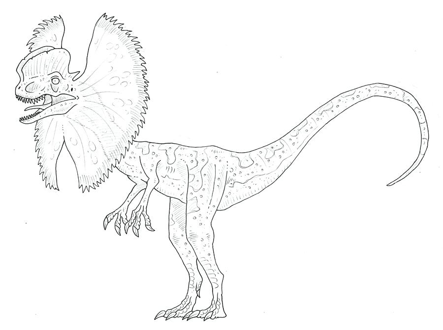 900x672 Mesmerizing Tyrannosaurus Rex Coloring Pages Funny Park T Coloring