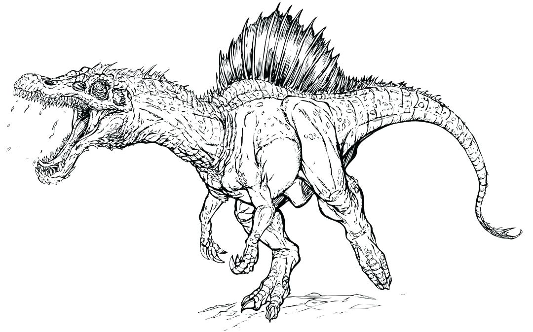 1080x674 T Rex Coloring Coloring Page Park T Coloring Pages For Kids Baby T