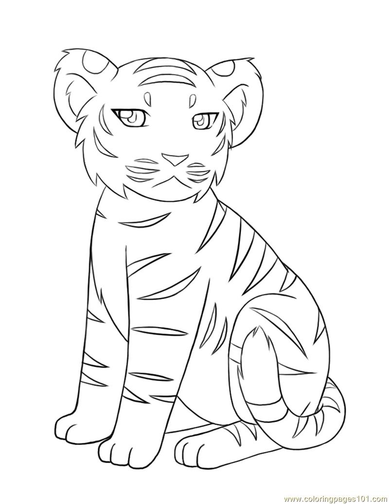 800x1035 Baby Tiger Coloring Page