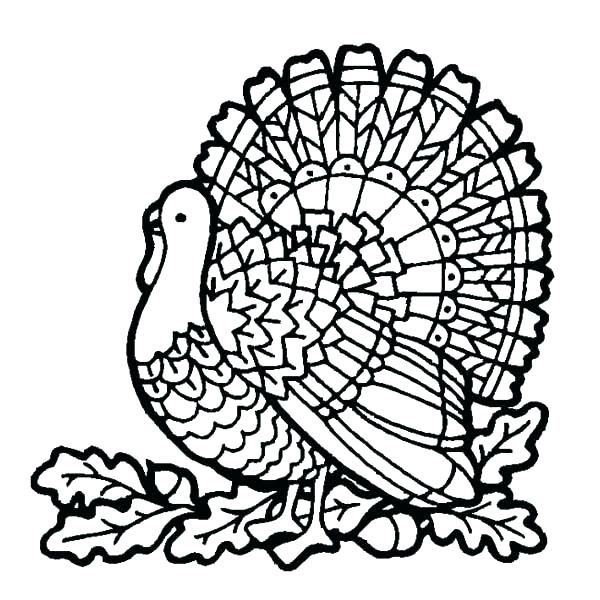 600x600 Coloring Pages Turkey Thanksgiving Turkey Coloring Pages Turkey