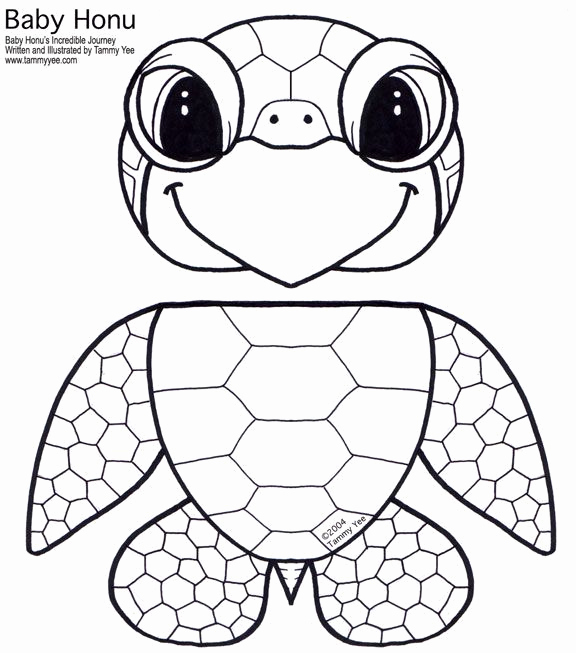 576x653 Image Result For Best Outline Printable Of Sea Turtle Coloring