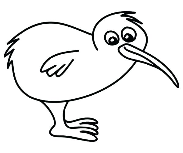 600x504 Drawing Baby Kiwi Bird Coloring Pages Download Print Online