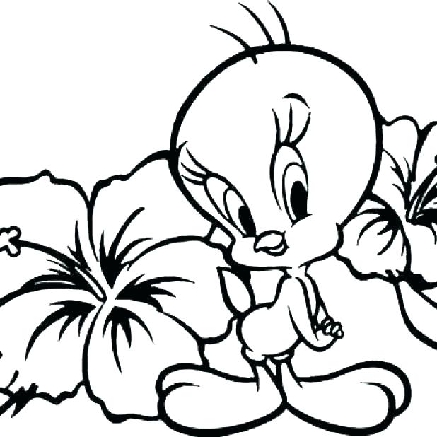 618x618 Baby Bird Coloring Page Baby Bird Coloring Page Coloring Page Bird