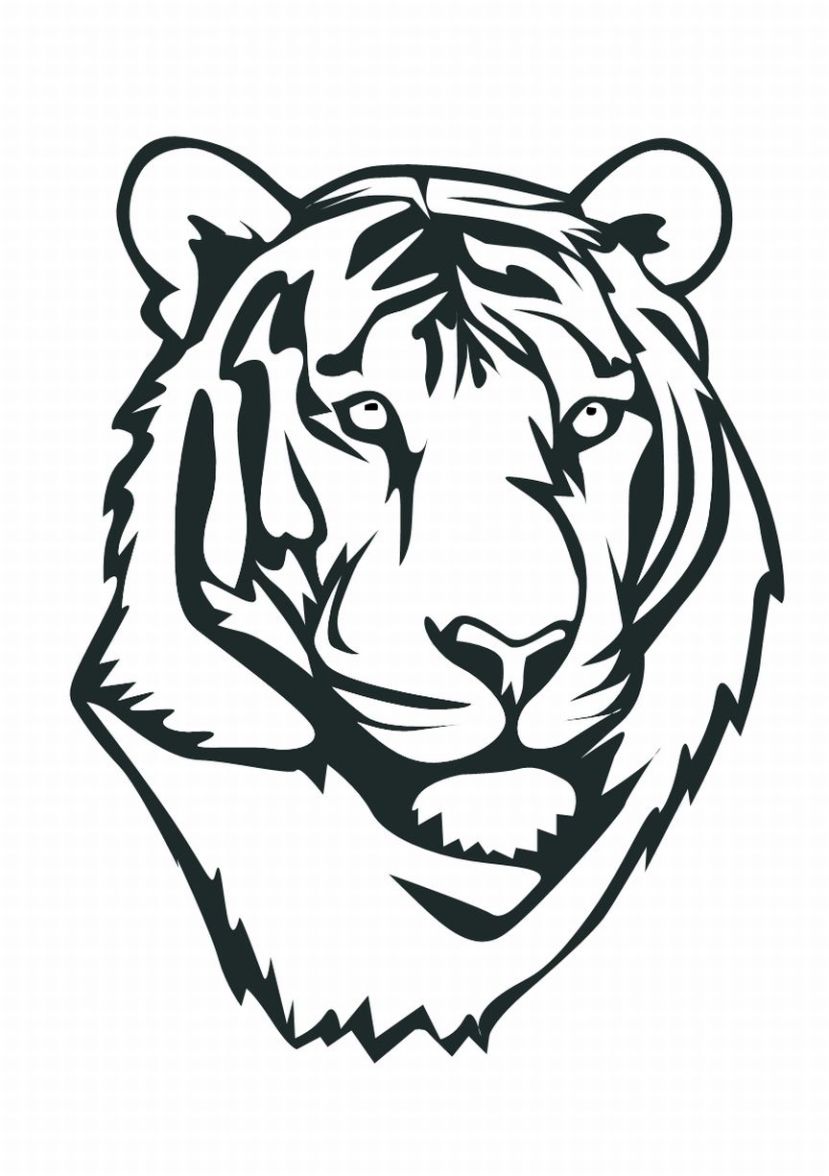 829x1176 Baby White Tiger Face Coloring Pages For Kids
