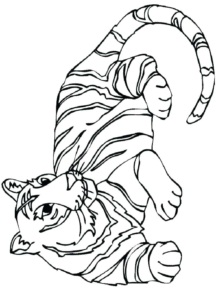 750x1000 White Tiger Coloring Pages Baby Tiger Coloring Pages Printable