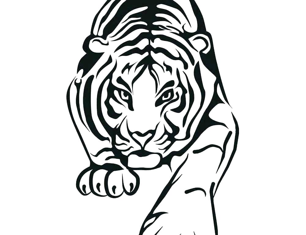 1000x768 Baby Tiger Coloring Pages