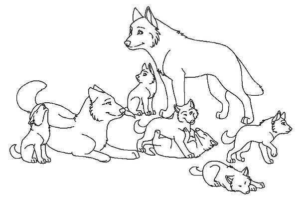 600x415 Babies Wolf Coloring Page
