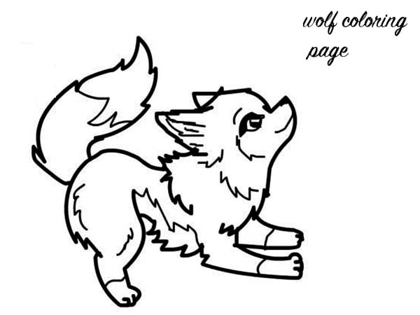 600x450 Baby Wolf Coloring Page