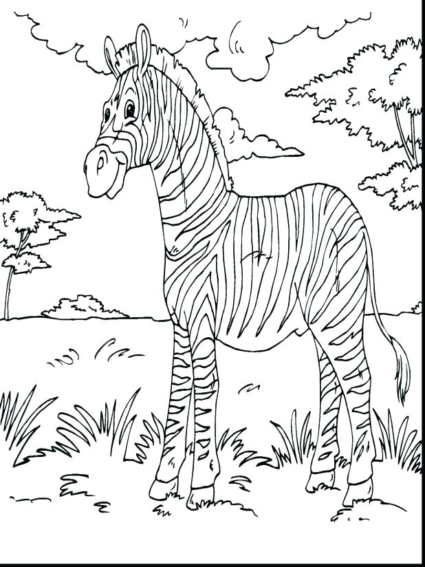 618x824 Baby Zebra Coloring Pages Zebra Coloring Pages Spectacular Zebra
