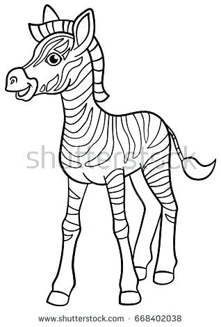 318x470 Coloring Pages Of Zebras Coloring Pages Little Cute Baby Zebra