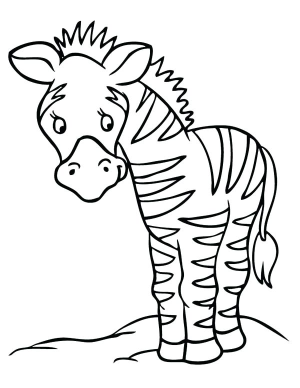 600x776 Zebra Coloring Pages Zebra Sad 6 Cute Baby Zebra Coloring Pages