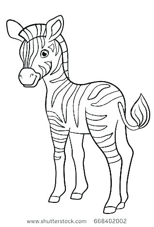 318x470 Baby Zebra Coloring Pages