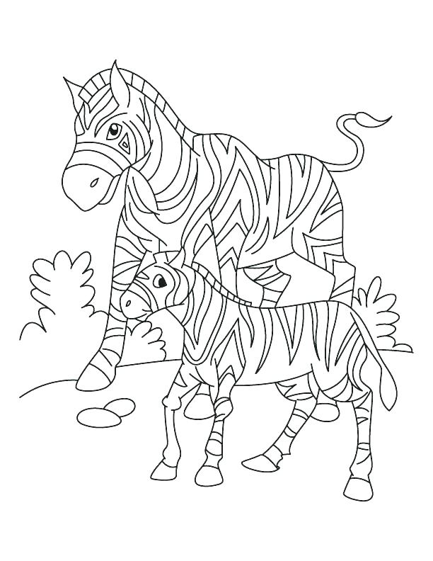 612x792 Zebra Coloring Picture