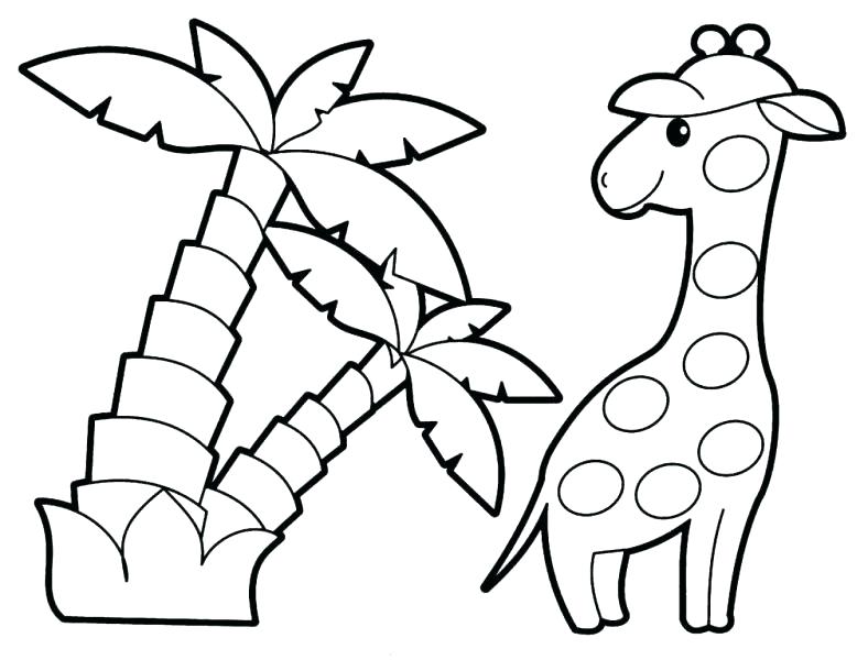 788x600 Coloring Pages Of Baby Animals Baby Zoo Animals Coloring Pages