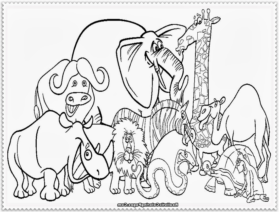 1066x810 Baby Zoo Animal Coloring Pages Zoo Animal Coloring Pages (18