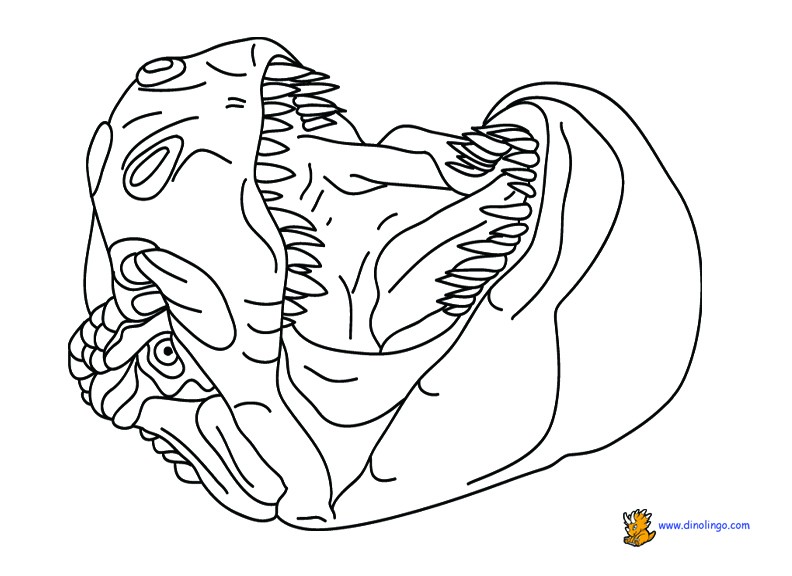 792x576 Free Printable Dinosaur Coloring Pages Beautiful Pin By Brooke