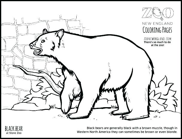 608x467 Free Kids Coloring Pages Teddy Bear Color Sheet Free Kids Coloring