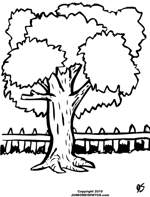 576x756 Backyard Coloring Pages Color Bros