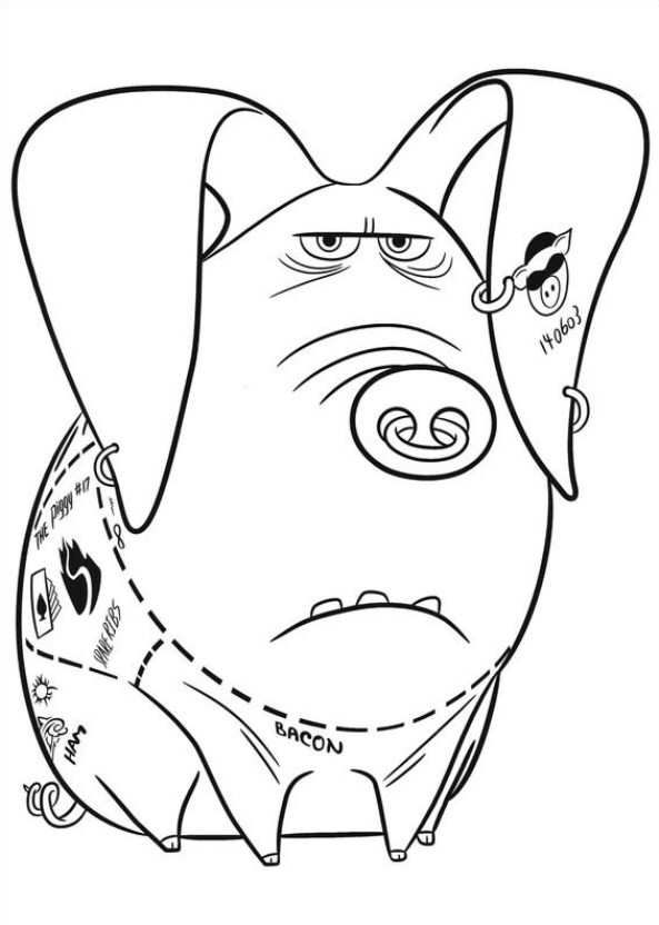 593x832 29 Coloring Pages Of Secret Life Of Pets On Kids N Fun.co.uk. Op