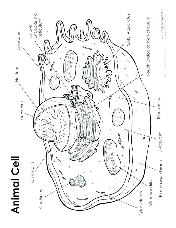 618x800 Bacteria Coloring Pages Coloring Pages Germ Coloring Sheets Free
