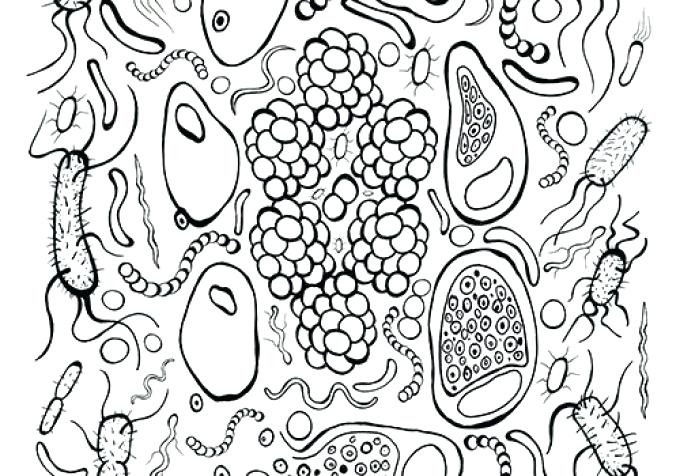 680x476 Cell Coloring Page Bacteria Coloring Worksheet Color Of Love