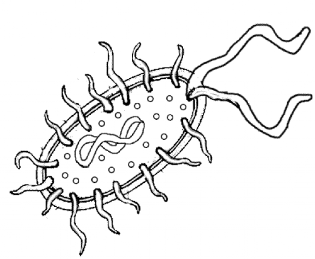 1024x842 Happy Bacteria Coloring Page Color Bacterial C