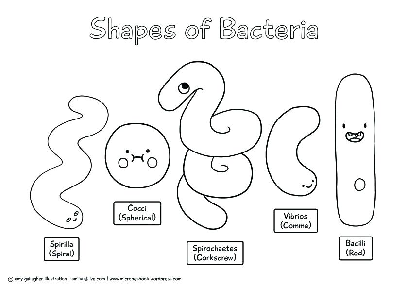840x593 Bacteria Coloring Page Bacteria Coloring Pages Bacteria Coloring