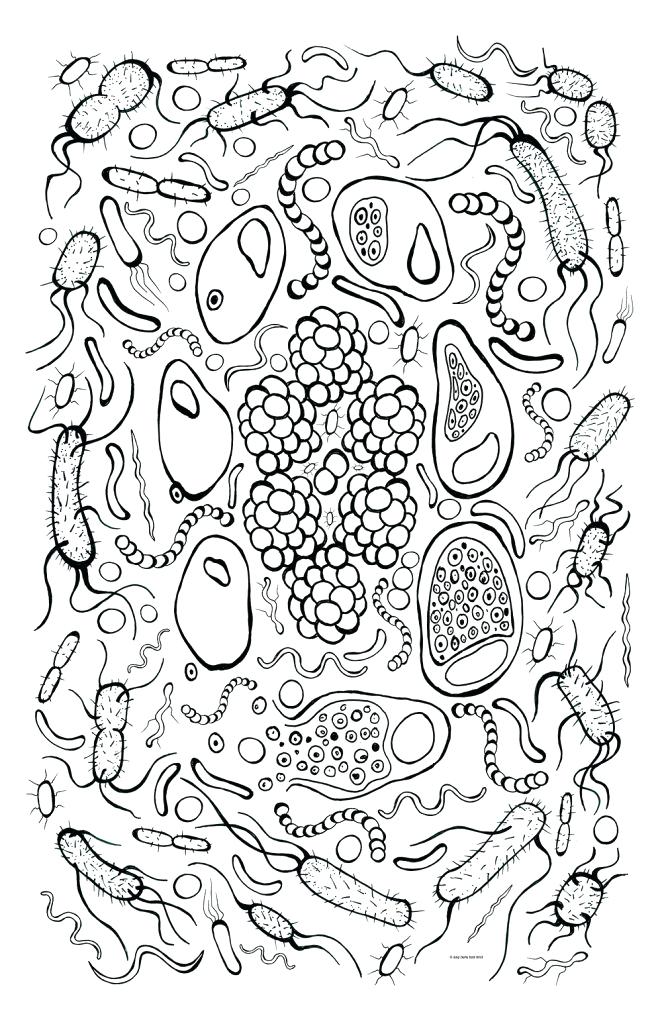 662x1024 Bacteria Coloring Pages Bacteria Coloring Page Free Bacteria