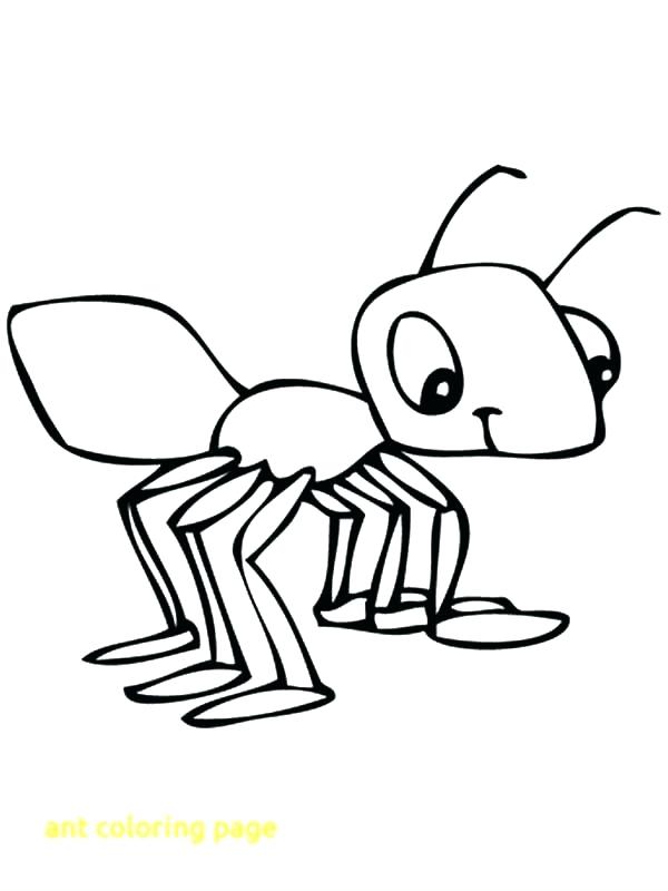 600x800 Coloring Pages Of Ants Impair.co