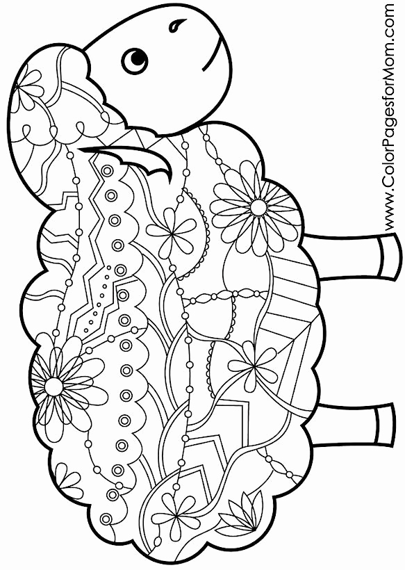 Badger Coloring Page