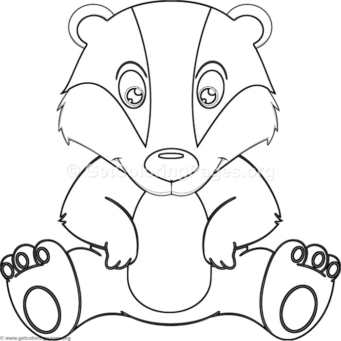 700x700 Cute Little Badger Coloring Pages