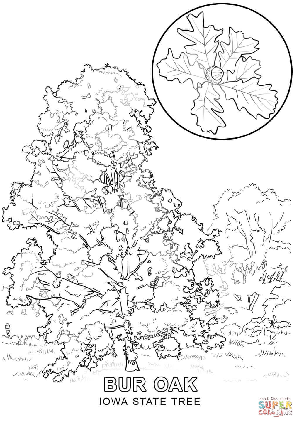 1020x1440 Iowa State Coloring Pages Printable Coloring For Kids 2018