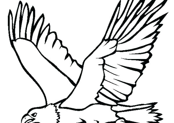 600x425 Bald Eagle Coloring Pictures Coloring Eagle Coloring Page Bald