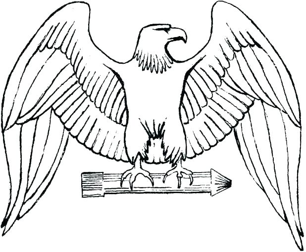 618x510 Coloring Pages Of Eagles Bald Eagle G Page Pages Of Eagles Head