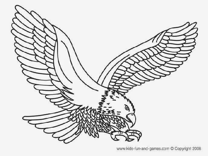 689x517 Bald Eagle Coloring Page Luxury Bald Eagle Catching Fish Coloring