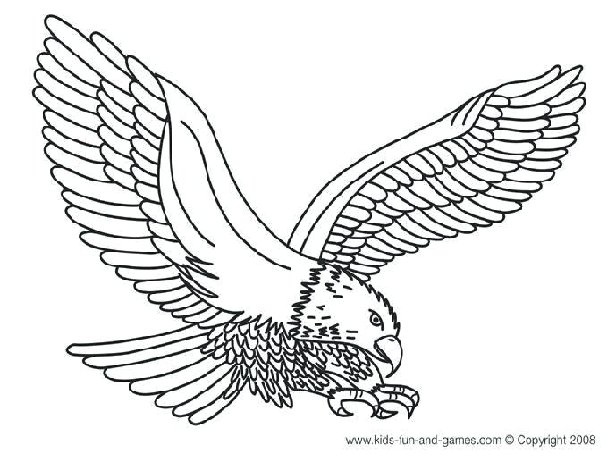 689x517 Bald Eagle Coloring Pages Bald Eagle Coloring Page Luxury Bald