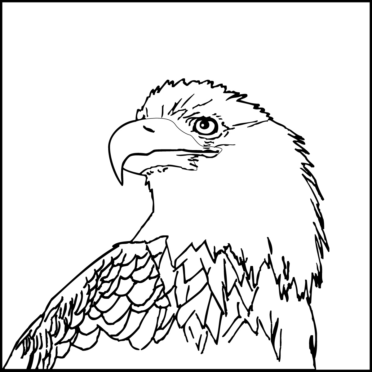 1200x1200 Lovely Bald Eagle Coloring Page Image Birds Pages Printable