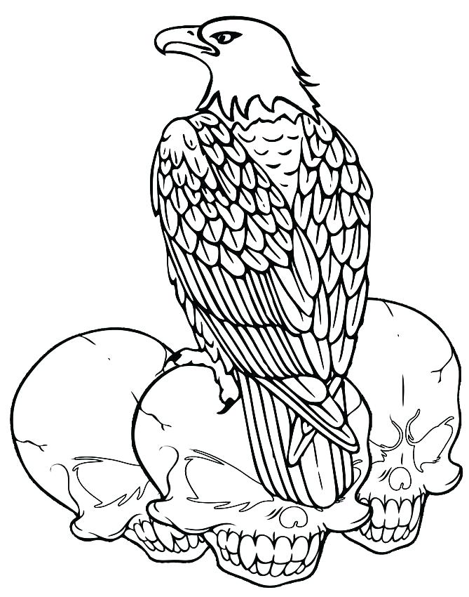 669x850 Bald Eagle Coloring Page Bald Eagle Coloring Sheets Printable Bald
